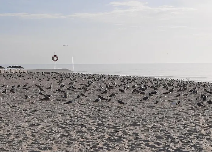 Villa Do Praia de Mira