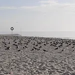 Villa Do Praia de Mira